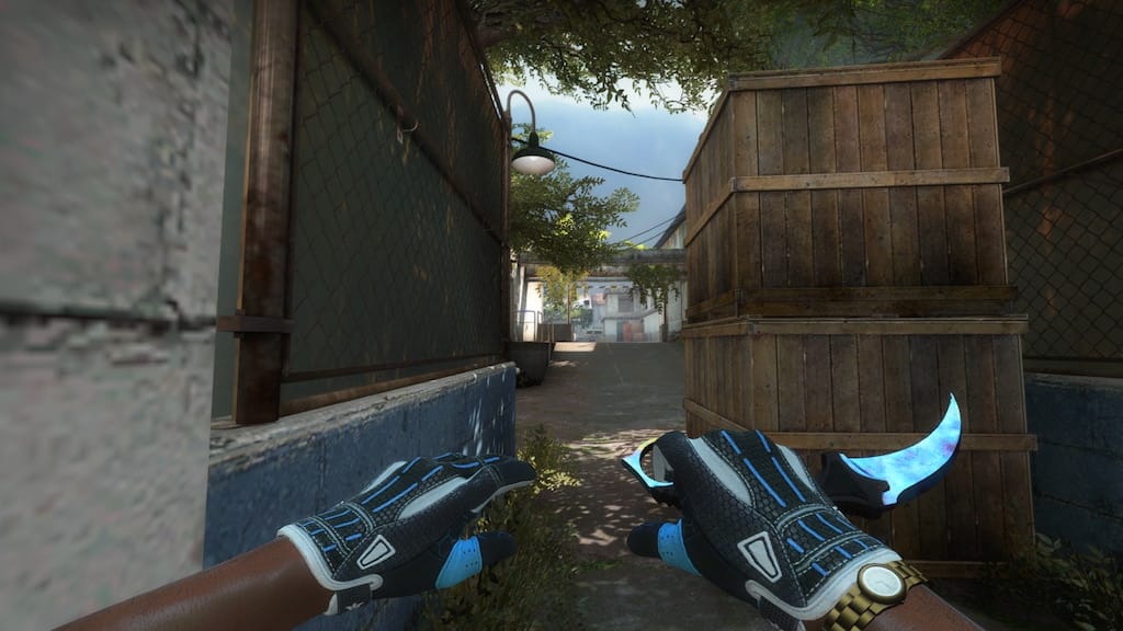 The Most Expensive CS2 Skins: A Deep Dive into the #387 Karambit Blue Gem